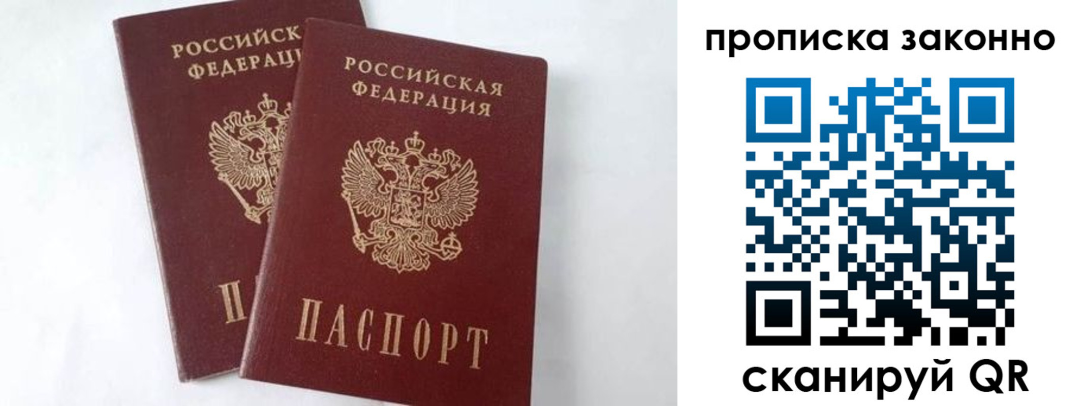 прописка в Стародубе